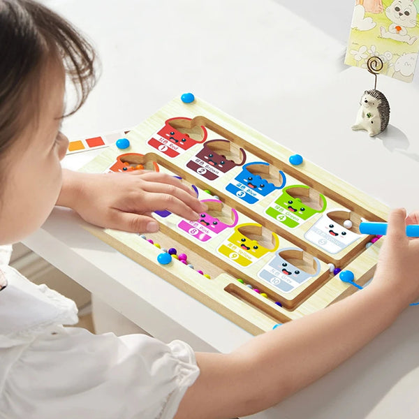 Montessori Magnetic Color Sorting Games Maze Board Pen Moving Bead Games Wooden Control Sensory Play Educational Toys for Kids